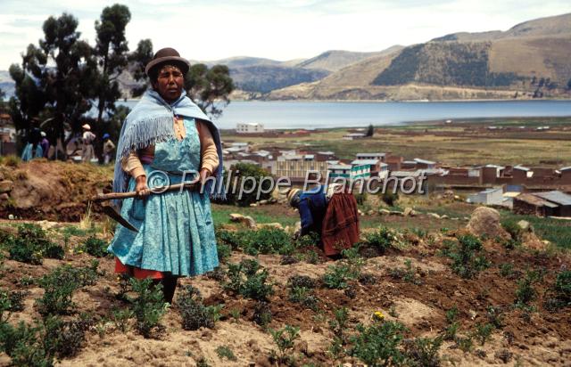 bolivie  01.JPG - Paysane cultivant son champCopacabana, rives du lac TiticacaBolivie
